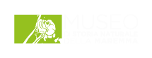 museo-storia-naturale-maremma