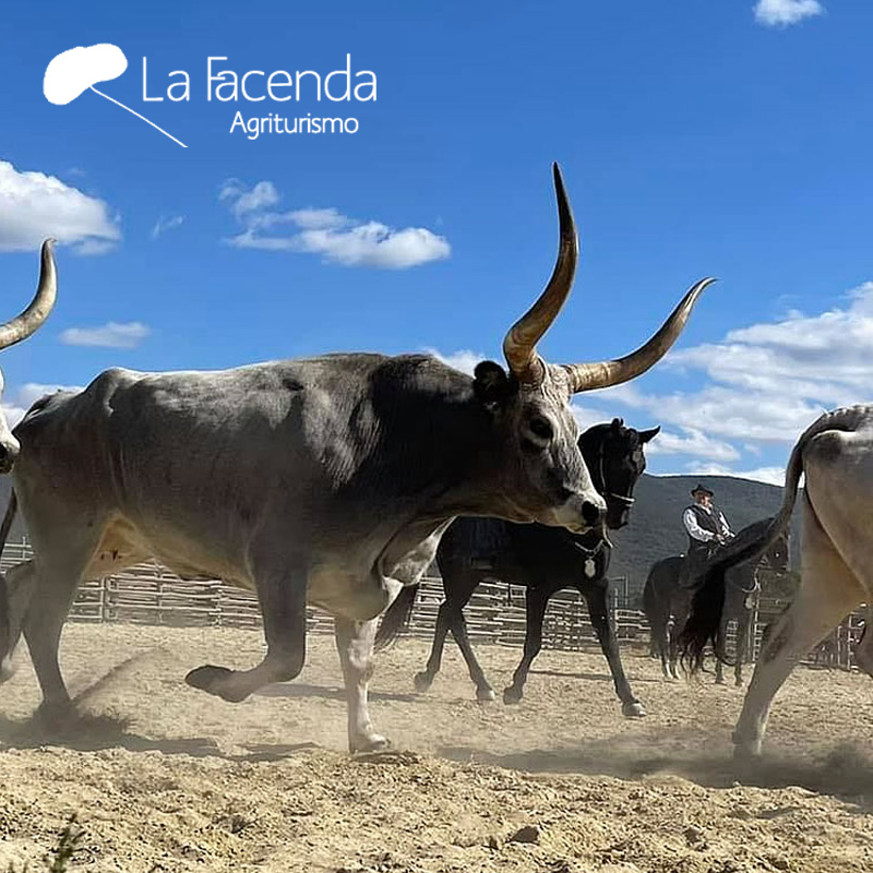 lafacenda